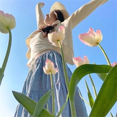 史酷比：重返僵尸岛